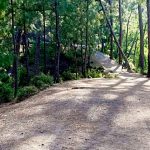 Shilli Wildlife Sanctuary Travel Guide and Tourism in Solan, Himachal Pradesh